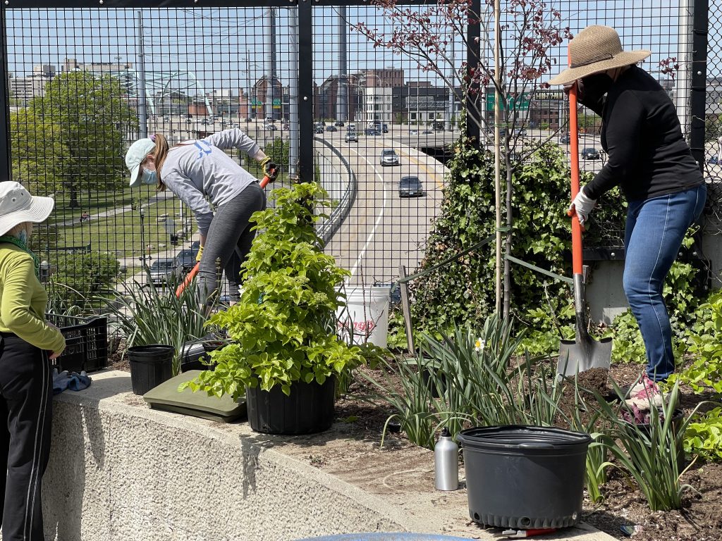 Volunteers planting a garden bed at India Point Park
